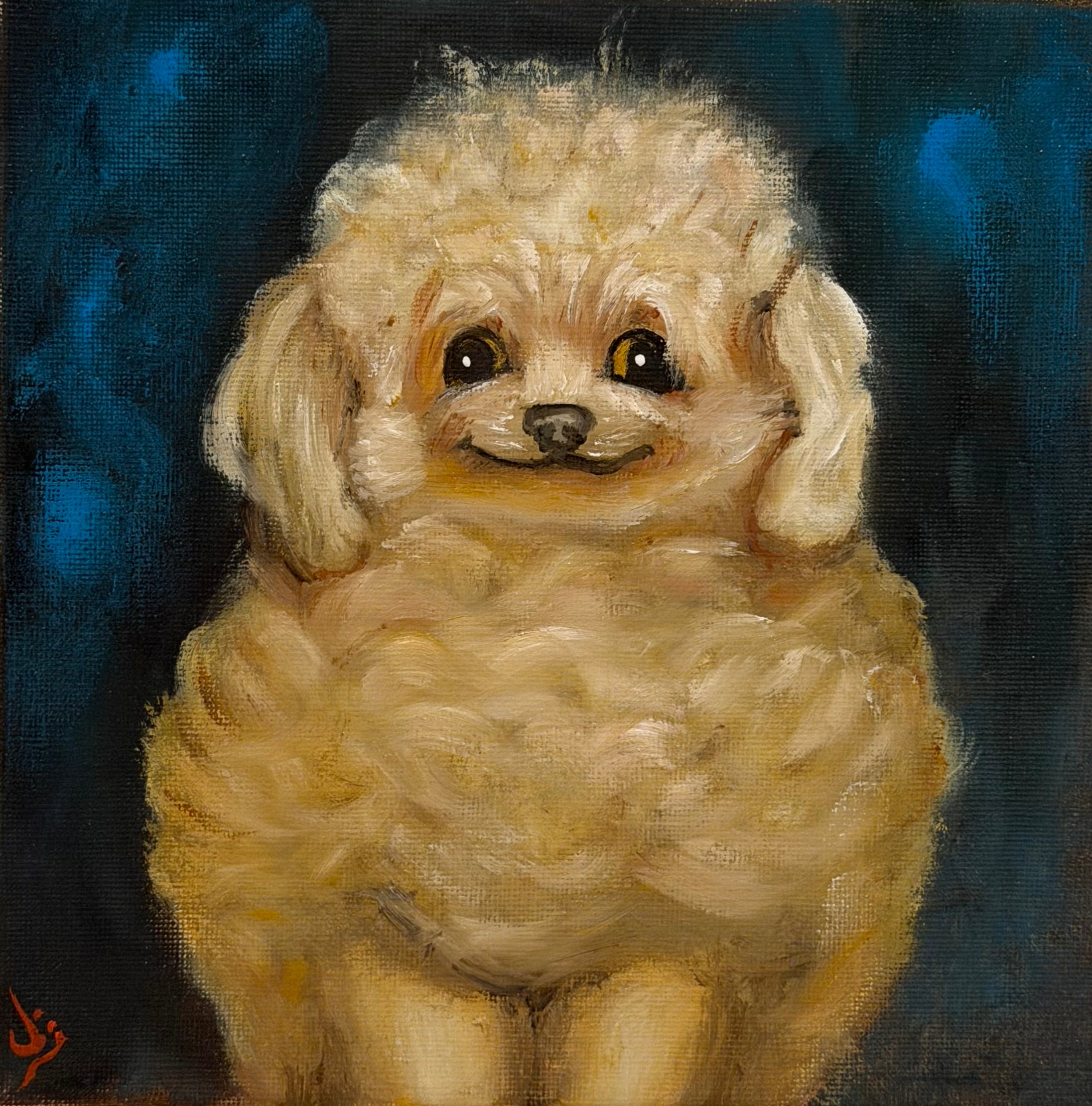 Ooftii🐾