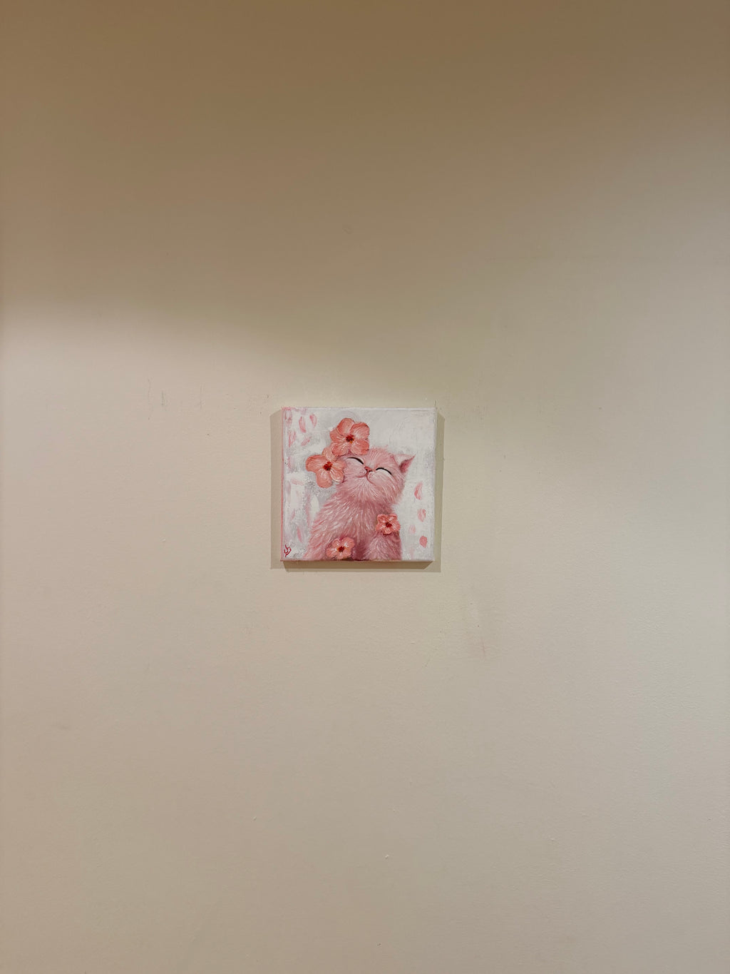 Negar, pink kitty