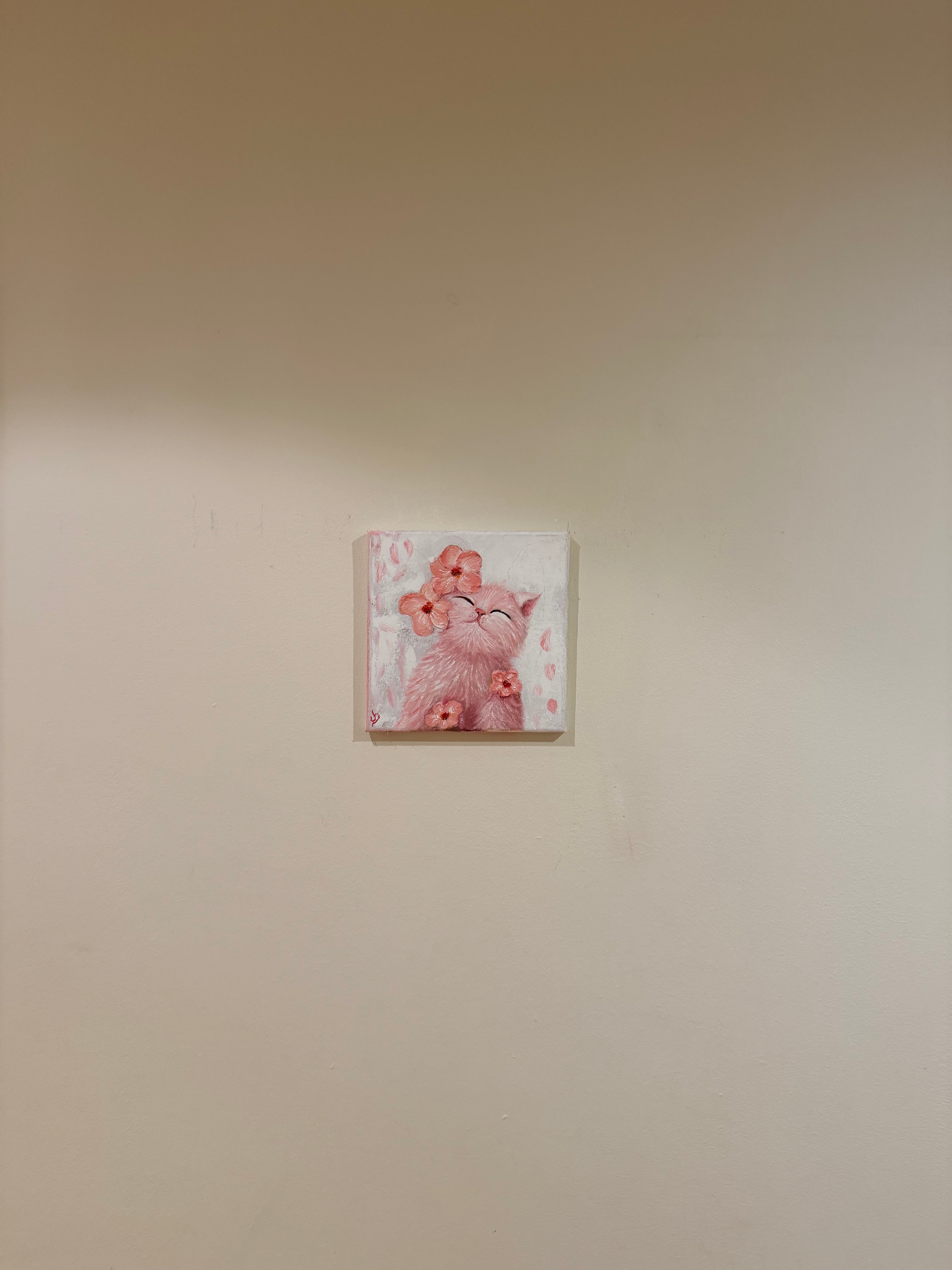 Negar, pink kitty