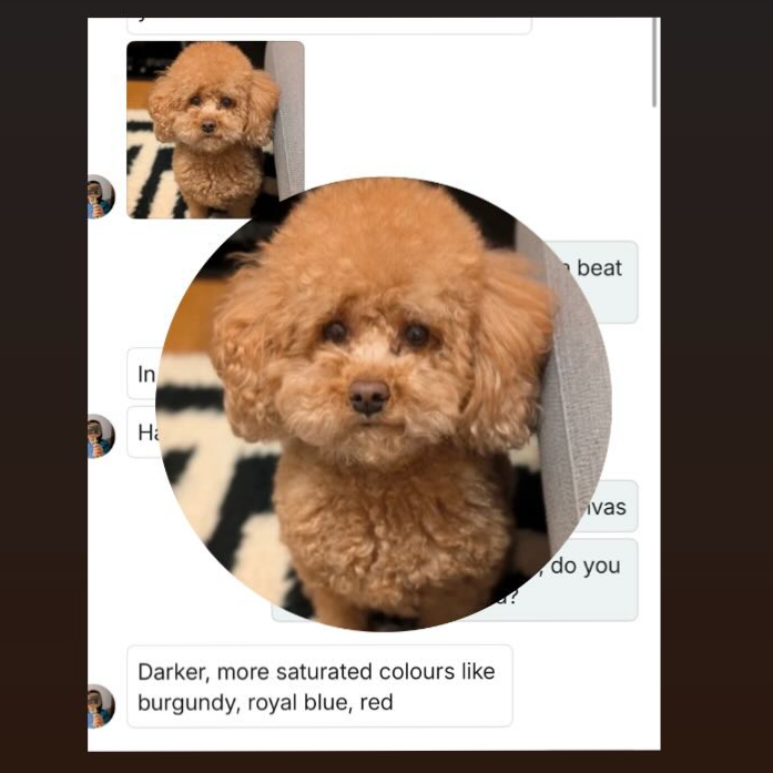 Knödel , lovely poodle